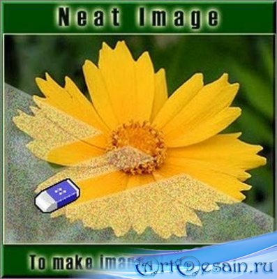 Neat Image Pro Plus v6.0 Retail