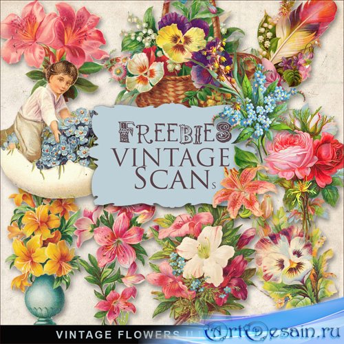 Scrap-kit - Vintage Flowers Illustrations #3