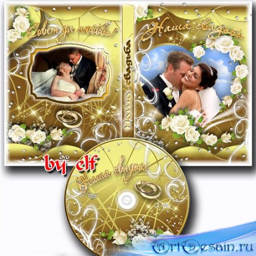   DVD     -   