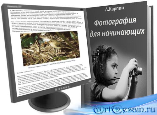    (2012, PDF, DOCx, RUS)