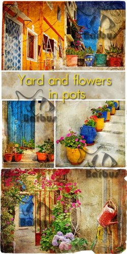 Yard and flowers in pots /      - photo stock