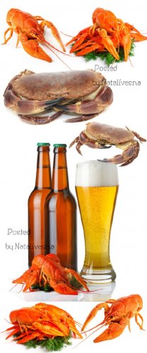 ,    / Beer, crabs to beer - Stock photo