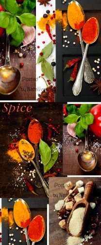       / Culinary backgrounds with greens and spices