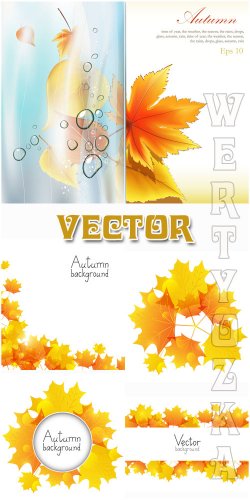 ,   / Autumn, autumn leaves - vector