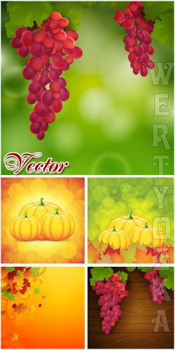       / Autumn background with grapes and pumpkin - vector