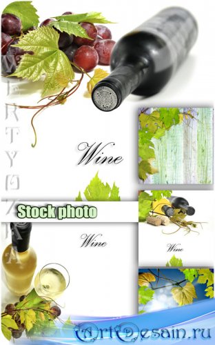 , ,   / Wine, grapes, grape leaves - Raster cl ...