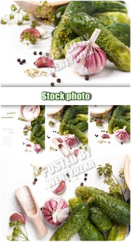  , ,  / Pickled cucumbers, garlic, dill - Raster clipart