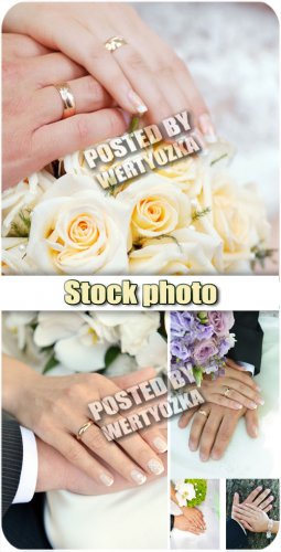 ,     / Wedding, bride and groom hands - stock pho ...