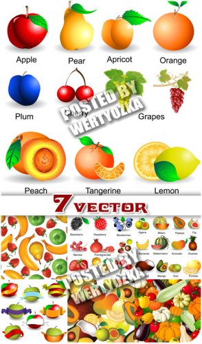   ,  / Fruits and vegetables backgrounds - stock vector