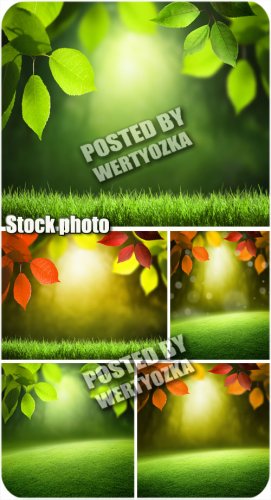      / Backgrounds with leaves and grass - stock photos