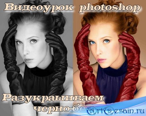  photoshop  - 