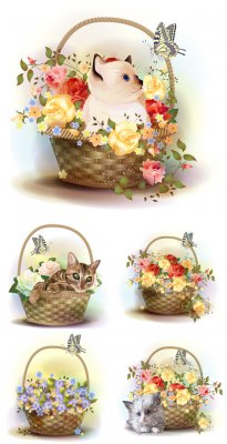     ,  / Baskets of flowers and kittens, vector