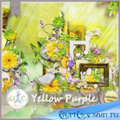  - - Yellow Purple 