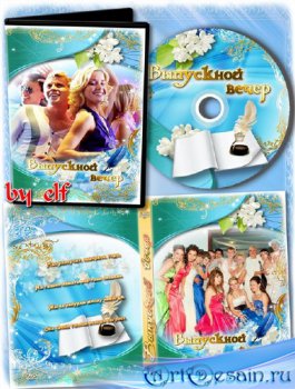  DVD -    ,    