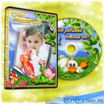  DVD     -  