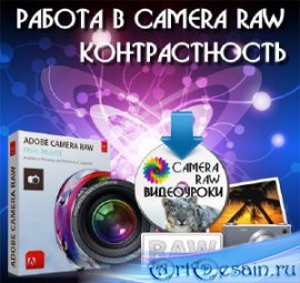   Camera Raw -  (2016)